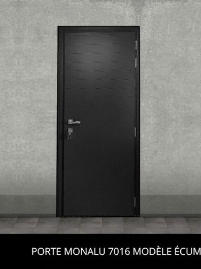 Porte d'entrée Monalu modèle Écume Gris Anthracite