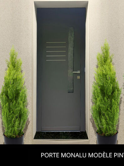 Porte Monalu Modèle Pinta Gris Sablé 2900