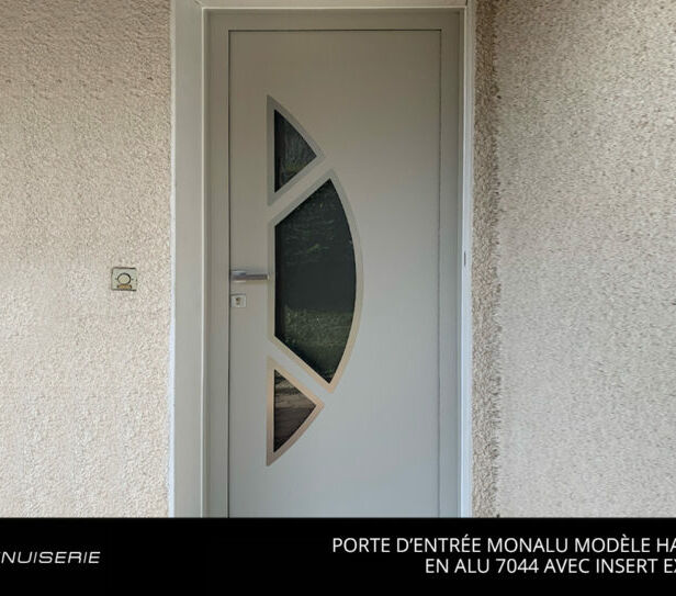 Porte d’Entrée Monalu Modèle Hannover ALU 7044